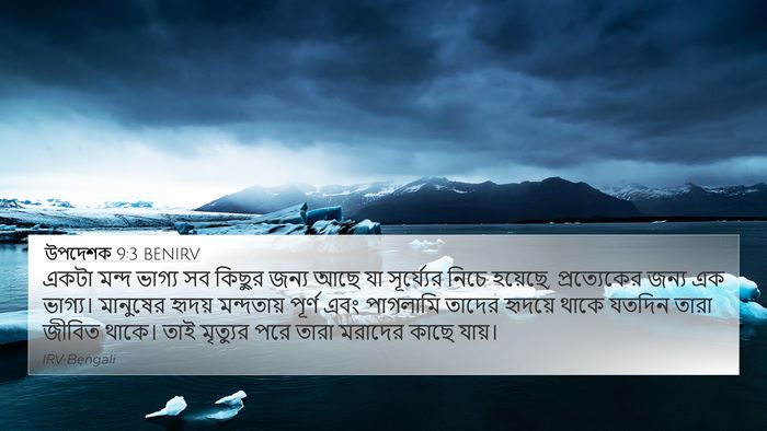 উপদেশক 9:3 BENIRV Bible Verse Image