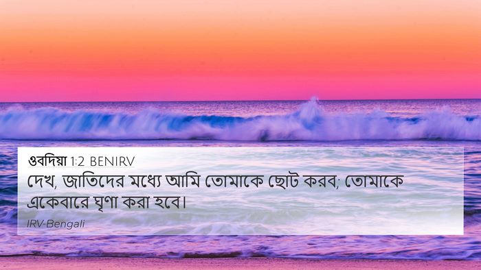 ওবদিয়া 1:2 BENIRV Bible Verse Image