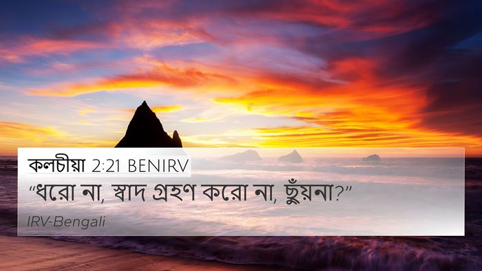 কলচীয়া 2:21 BENIRV Bible Verse Image