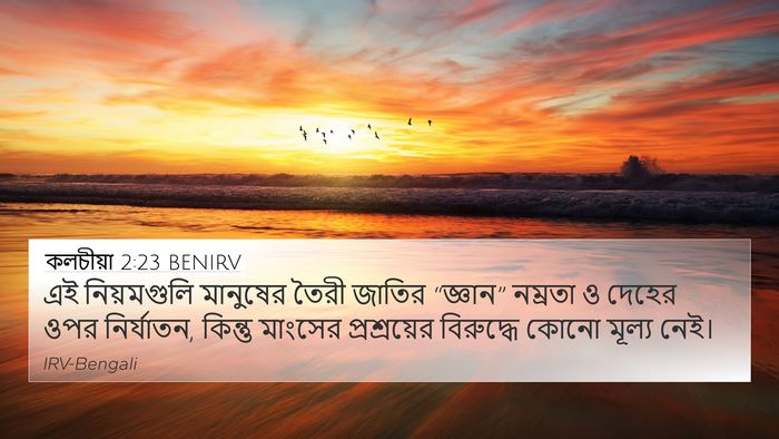 কলচীয়া 2:23 BENIRV Bible Verse Image