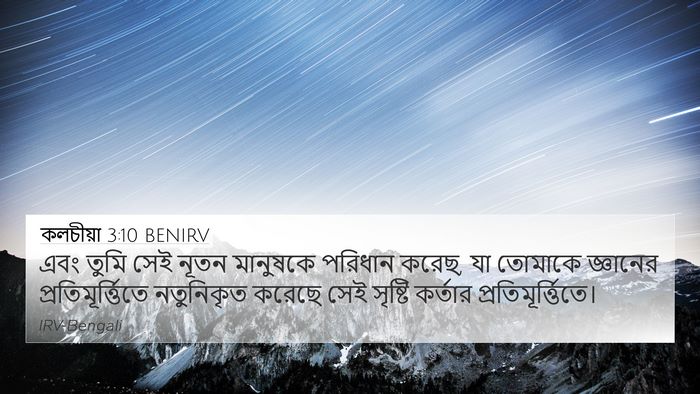 কলচীয়া 3:10 BENIRV Bible Verse Image