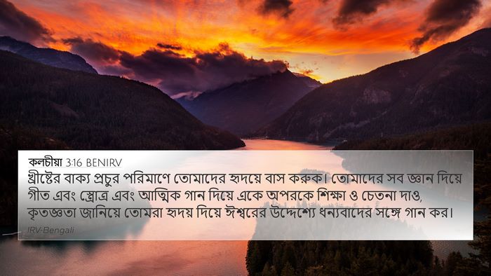 কলচীয়া 3:16 BENIRV Bible Verse Image