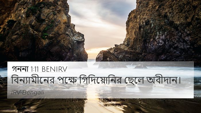 গননা 1:11 BENIRV Bible Verse Image