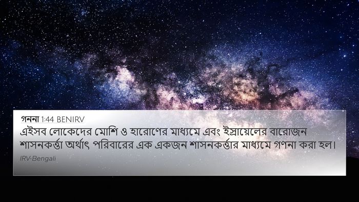 গননা 1:44 BENIRV Bible Verse Image