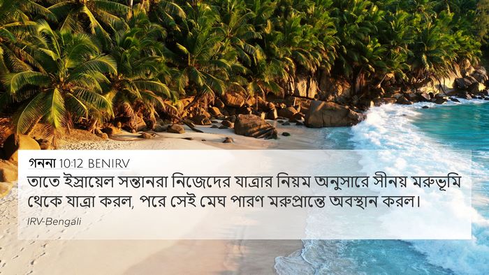 গননা 10:12 BENIRV Bible Verse Image