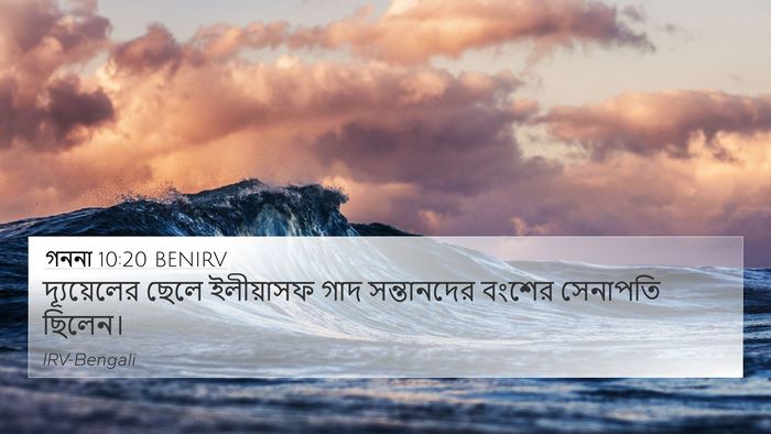 গননা 10:20 BENIRV Bible Verse Image
