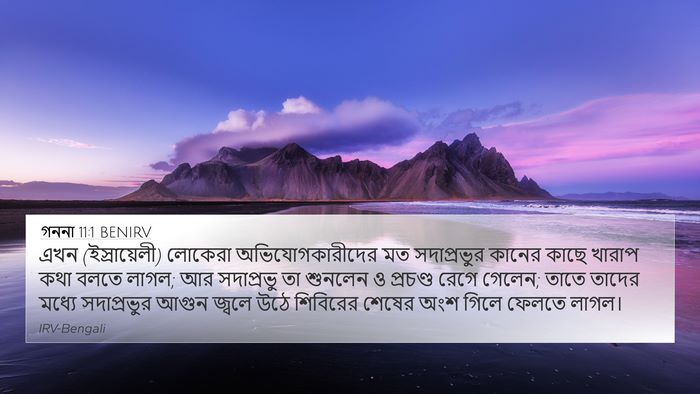 গননা 11:1 BENIRV Bible Verse Image
