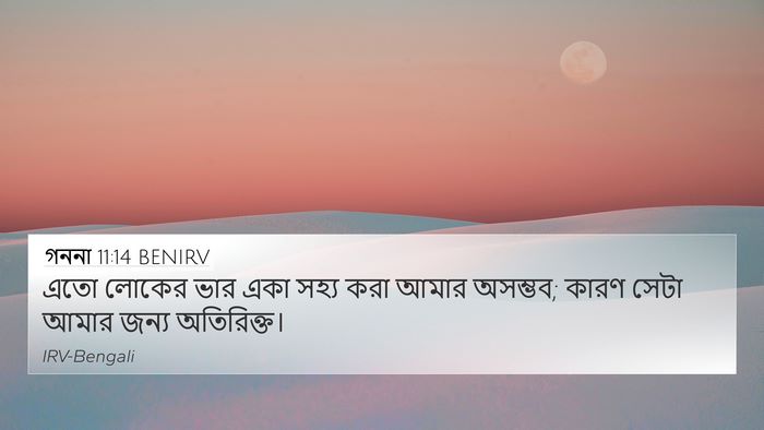 গননা 11:14 BENIRV 4K Wallpaper - এতো লোকের ভার একা - 4K Wallpaper Bible Verse