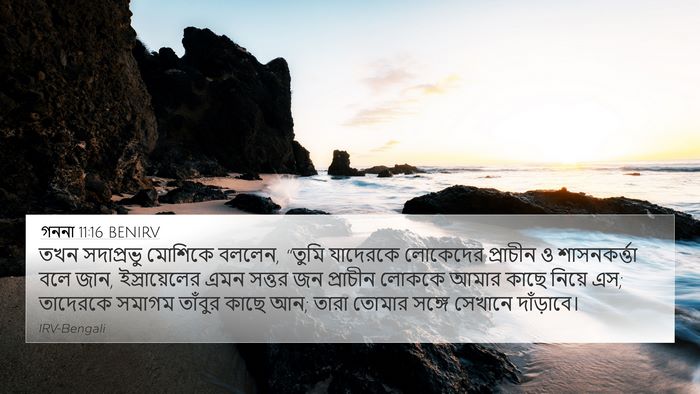গননা 11:16 BENIRV Bible Verse Image