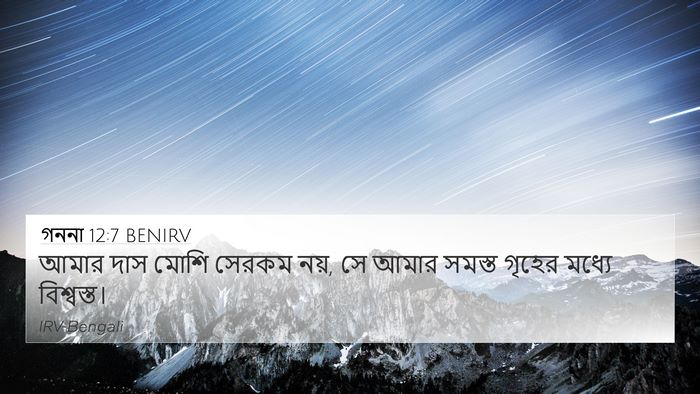 গননা 12:7 BENIRV Bible Verse Image