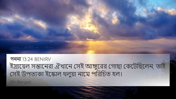 গননা 13:24 BENIRV 4K Wallpaper - ইস্রায়েল - 4K Wallpaper Bible Verse