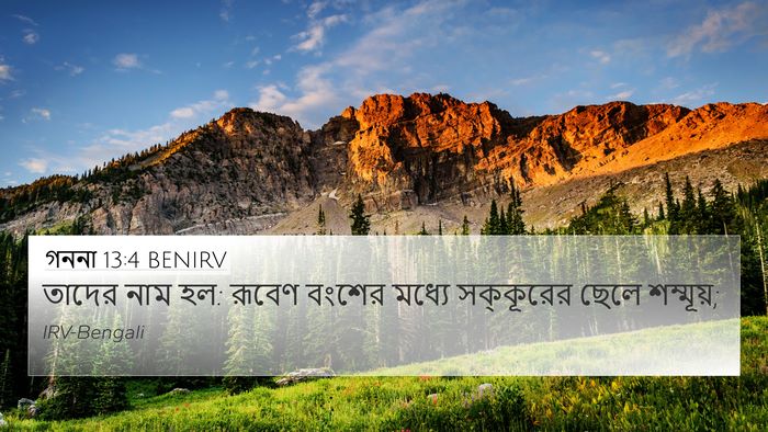 গননা 13:4 BENIRV Bible Verse Image