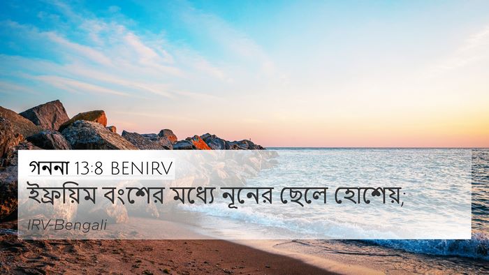 গননা 13:8 BENIRV Bible Verse Image
