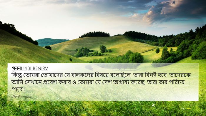 গননা 14:31 BENIRV Bible Verse Image