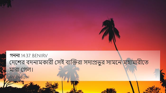 গননা 14:37 BENIRV Bible Verse Image