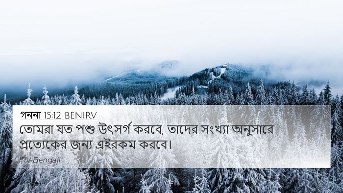 গননা 15:12 BENIRV 4K Wallpaper - তোমরা যত পশু - 4K Wallpaper Bible Verse