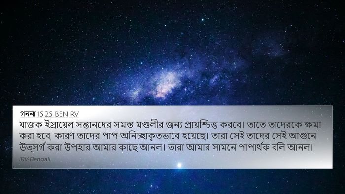 গননা 15:25 BENIRV Bible Verse Image