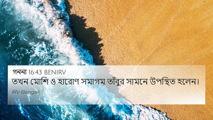 গননা 16:43 BENIRV Bible Verse Image