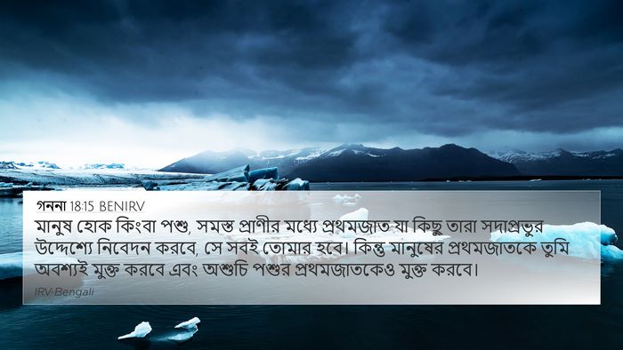 গননা 18:15 BENIRV Bible Verse Image