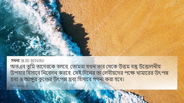 গননা 18:30 BENIRV Bible Verse Image