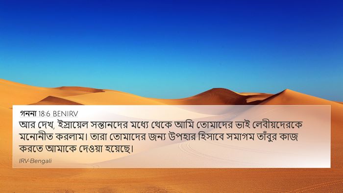 গননা 18:6 BENIRV Bible Verse Image