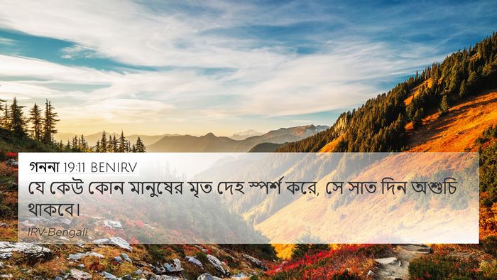 গননা 19:11 BENIRV 4K Wallpaper - যে কেউ কোন মানুষের - 4K Wallpaper Bible Verse