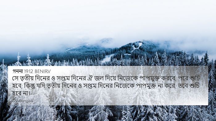 গননা 19:12 BENIRV Bible Verse Image