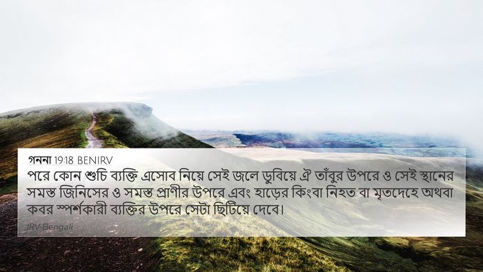 গননা 19:18 BENIRV 4K Wallpaper - পরে কোন শুচি - 4K Wallpaper Bible Verse