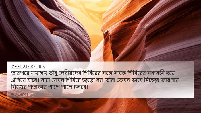 গননা 2:17 BENIRV Bible Verse Image