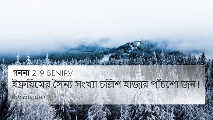 গননা 2:19 BENIRV 4K Wallpaper - ইফ্রয়িমের সৈন্য - 4K Wallpaper Bible Verse