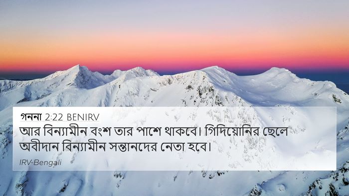গননা 2:22 BENIRV Bible Verse Image