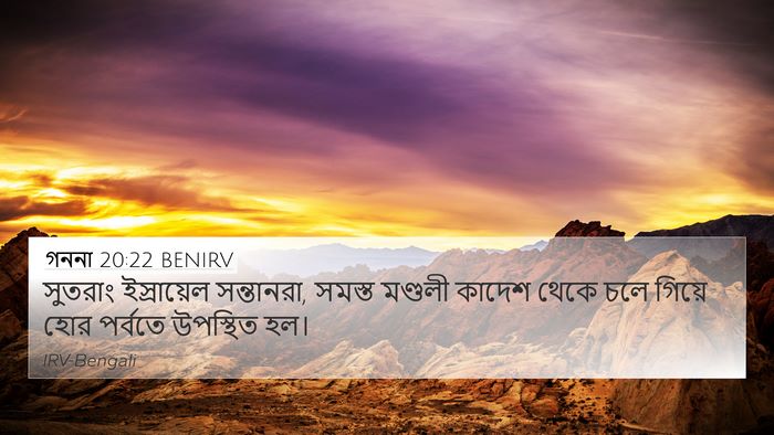 গননা 20:22 BENIRV 4K Wallpaper - সুতরাং ইস্রায়েল - 4K Wallpaper Bible Verse