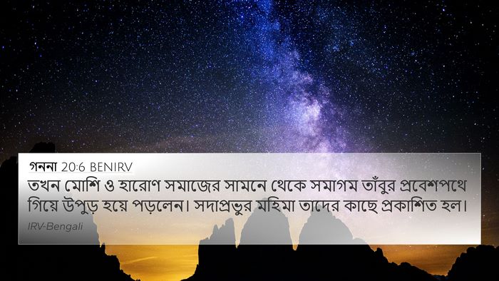 গননা 20:6 BENIRV Bible Verse Image