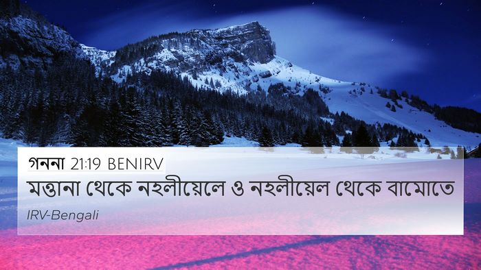 গননা 21:19 BENIRV Bible Verse Image