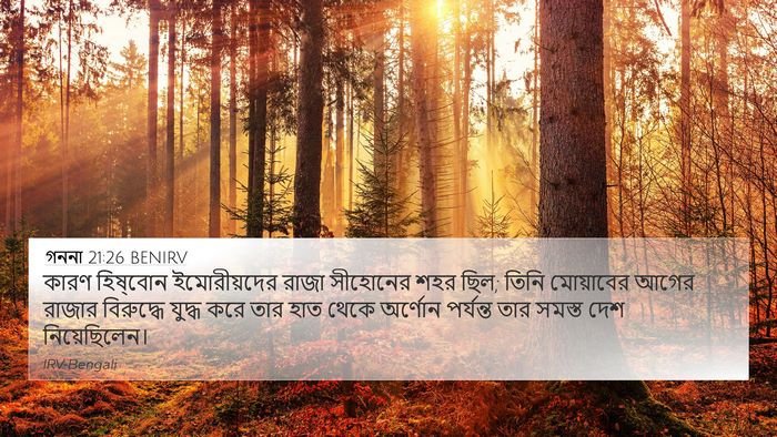 গননা 21:26 BENIRV Bible Verse Image