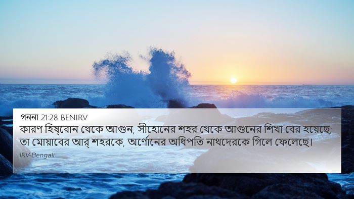 গননা 21:28 BENIRV Bible Verse Image