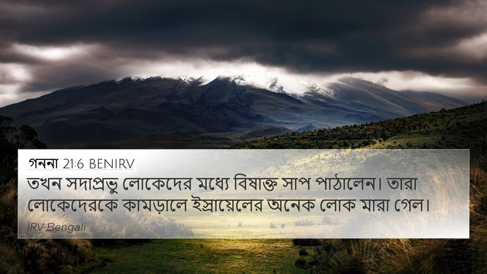 গননা 21:6 BENIRV 4K Wallpaper - তখন সদাপ্রভু - 4K Wallpaper Bible Verse