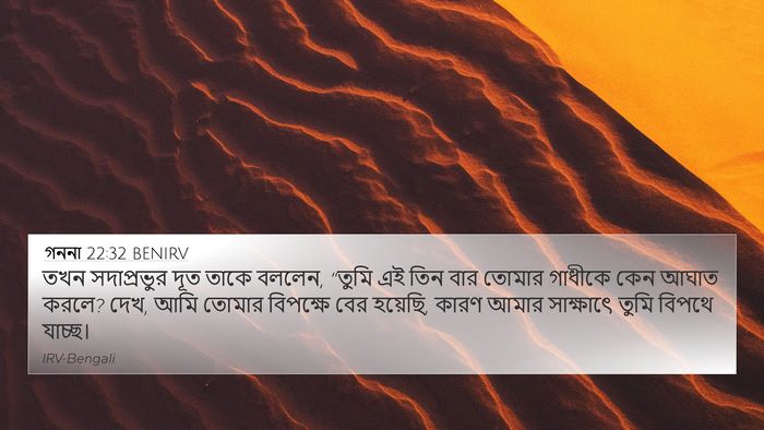 গননা 22:32 BENIRV Bible Verse Image