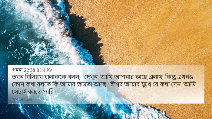 গননা 22:38 BENIRV Bible Verse Image