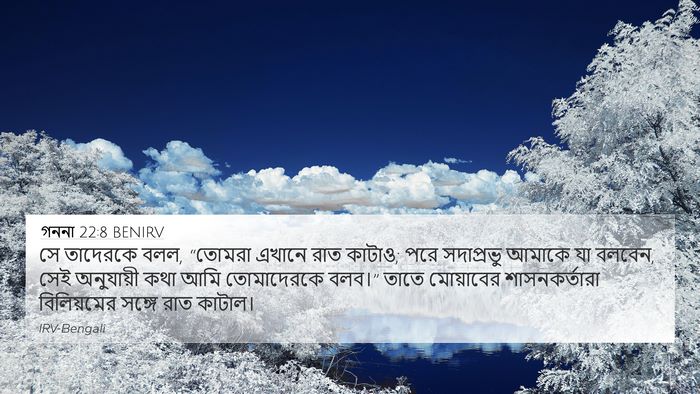 গননা 22:8 BENIRV 4K Wallpaper - সে তাদেরকে বলল, - 4K Wallpaper Bible Verse