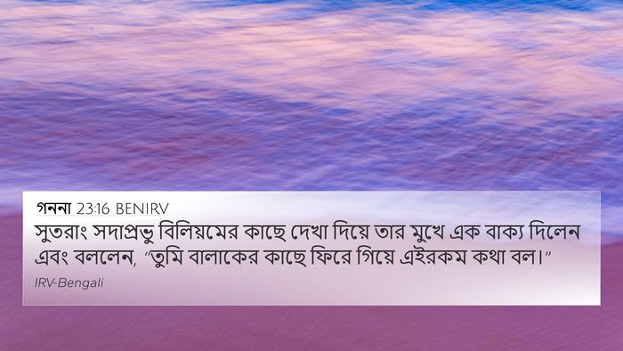 গননা 23:16 BENIRV Bible Verse Image