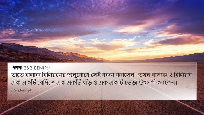 গননা 23:2 BENIRV Bible Verse Image