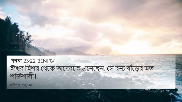 গননা 23:22 BENIRV Bible Verse Image