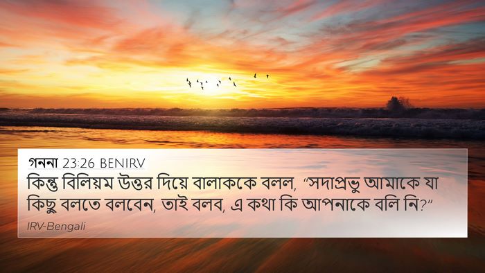 গননা 23:26 BENIRV Bible Verse Image