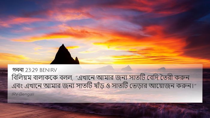 গননা 23:29 BENIRV Bible Verse Image