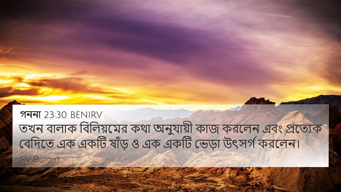 গননা 23:30 BENIRV Bible Verse Image