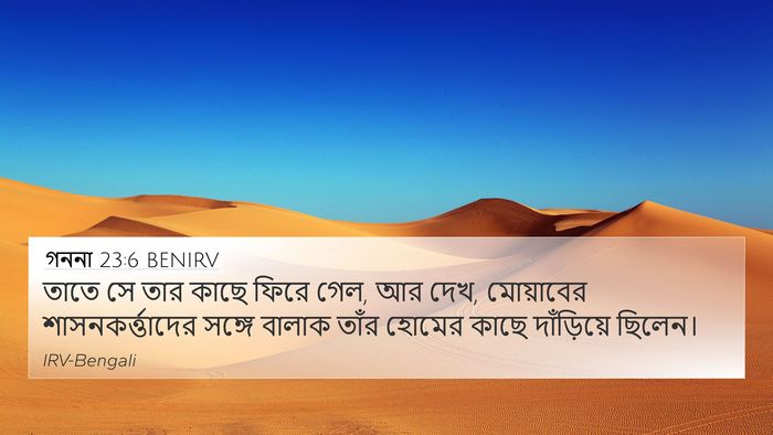 গননা 23:6 BENIRV Bible Verse Image