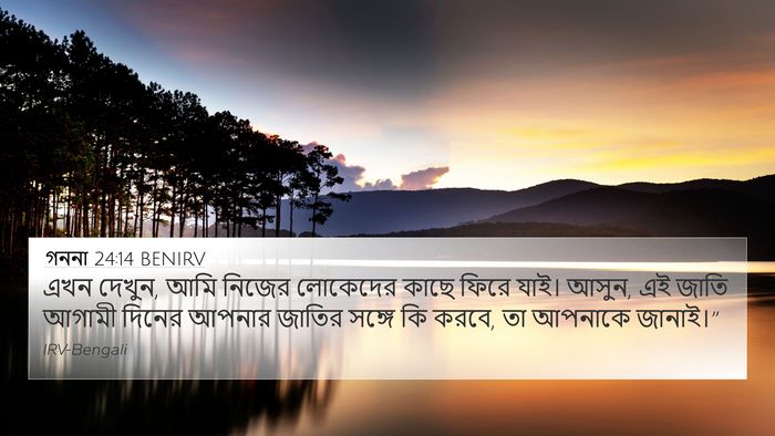 গননা 24:14 BENIRV Bible Verse Image