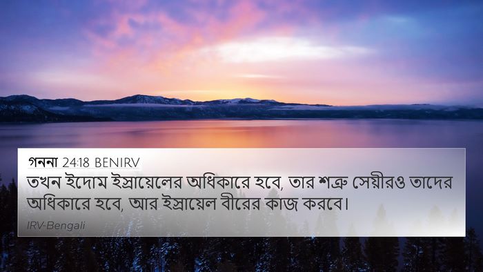 গননা 24:18 BENIRV Bible Verse Image