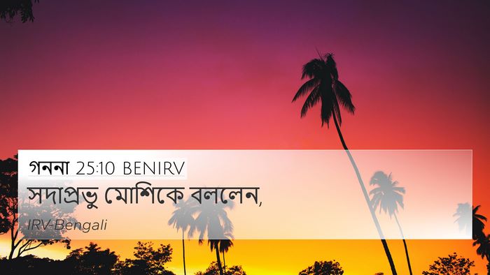 গননা 25:10 BENIRV 4K Wallpaper - সদাপ্রভু মোশিকে - 4K Wallpaper Bible Verse